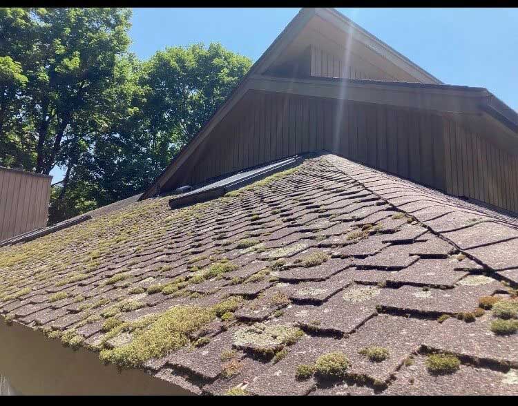 Softwash roof cleaning 2 before